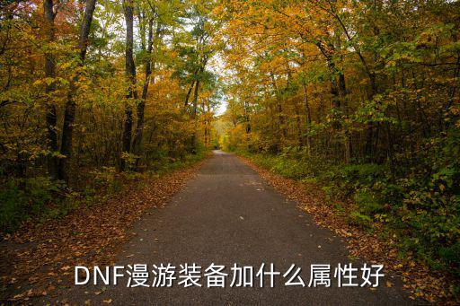 dnf漫游之王打什么属性，dnf漫游走什么属性强化好