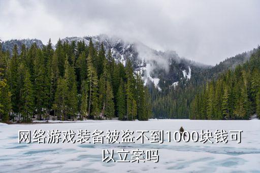 网络游戏装备被盗不到1000块钱可以立案吗