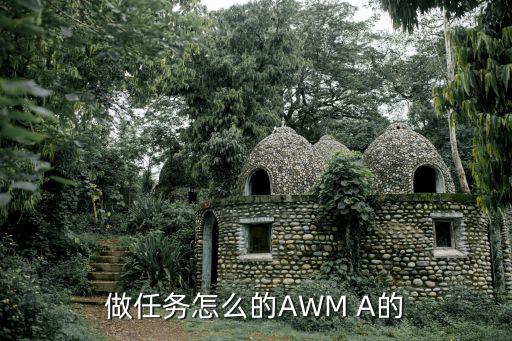 做任务怎么的AWM A的