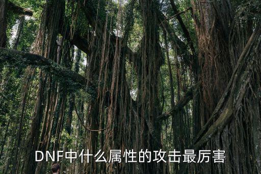 DNF中什么属性的攻击最厉害