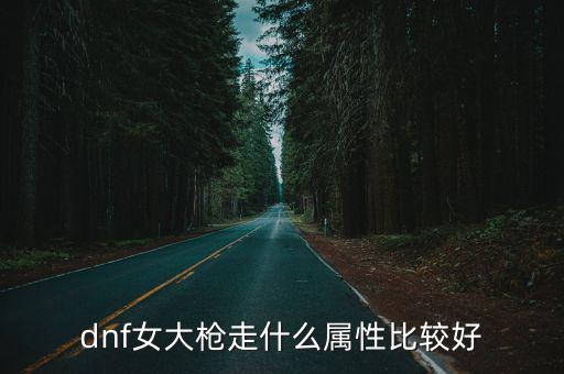 dnf女大枪走什么属性比较好