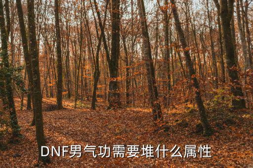 DNF男气功需要堆什么属性