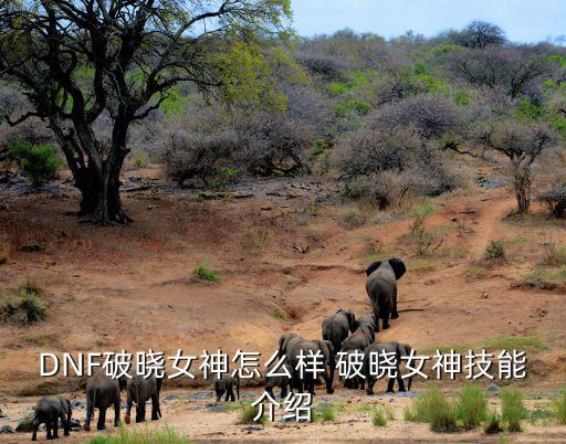 DNF破晓女神怎么样 破晓女神技能介绍