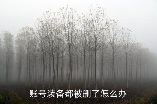 游戏装备被注销了怎么办，装备被删除了怎么申请