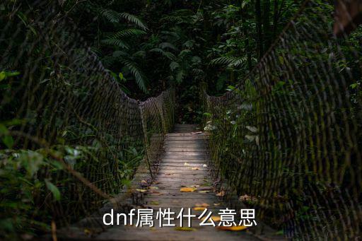 dnf所有属性 什么意思，DNF装备中这些属性什么意思