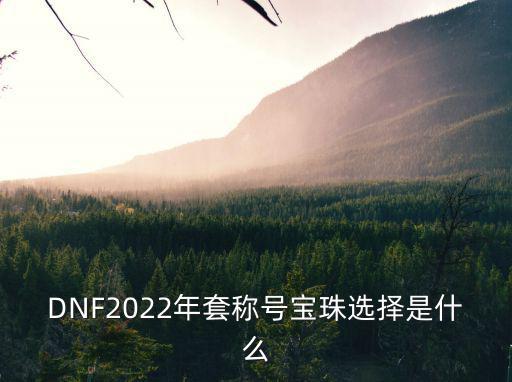 dnf新年属性宝珠叫什么，dnf新春宠物宝珠叫什么