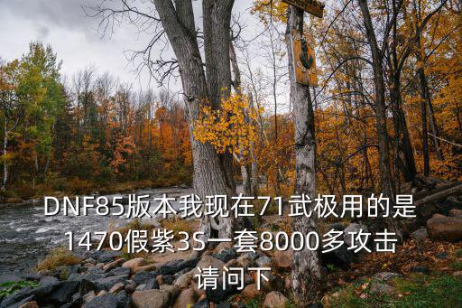 DNF85版本我现在71武极用的是1470假紫3S一套8000多攻击 请问下