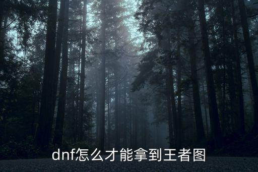 dnf怎么才能拿到王者图