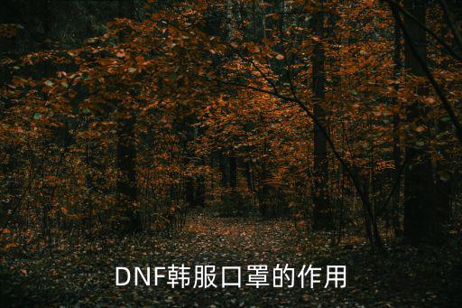 DNF韩服口罩的作用