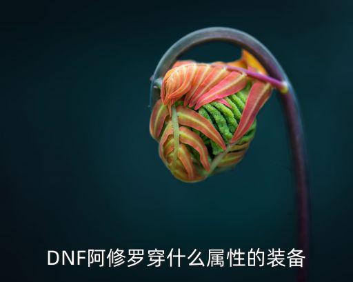 阿修罗dnf什么属性好，DNF阿修罗穿什么属性的装备