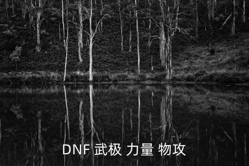 DNF 武极 力量 物攻