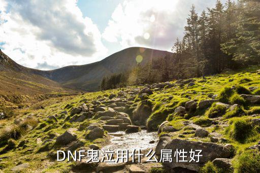 DNF鬼泣用什么属性好