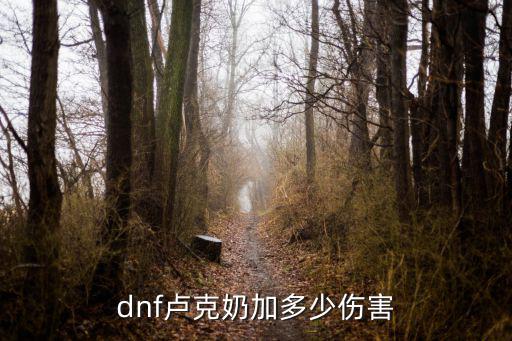 dnf卢克奶加多少伤害