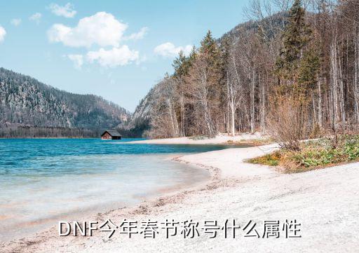 DNF今年春节称号什么属性