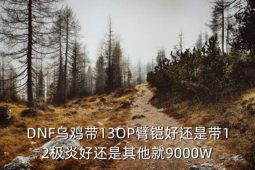 DNF乌鸡带13OP臂铠好还是带12极炎好还是其他就9000W