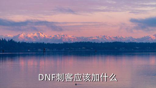 dnf刺客附加属性要什么，dnf刺客都需要什么属性