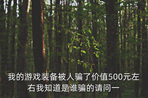 我的游戏装备被人骗了价值500元左右我知道是谁骗的请问一