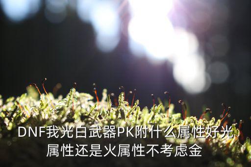 DNF我光白武器PK附什么属性好光属性还是火属性不考虑金