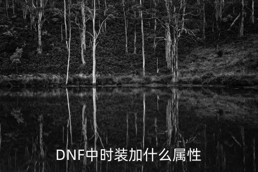 DNF中时装加什么属性