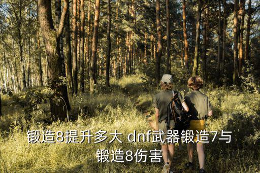 锻造8提升多大 dnf武器锻造7与锻造8伤害