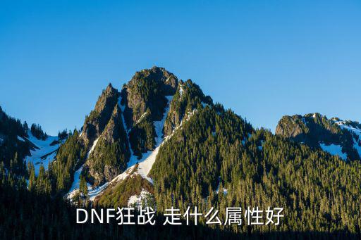 DNF狂战 走什么属性好