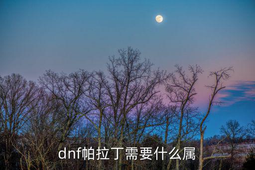 dnf帕拉丁需要什么属