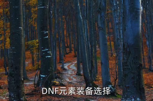 DNF元素装备选择