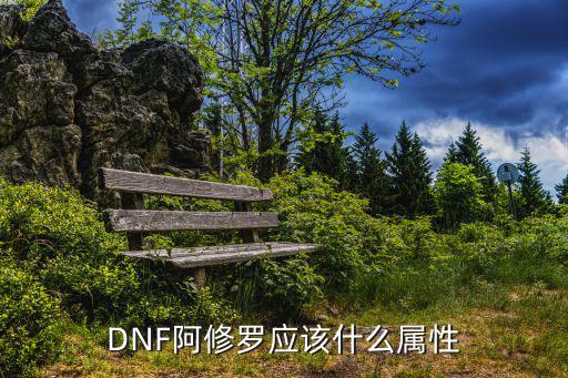 DNF阿修罗应该什么属性