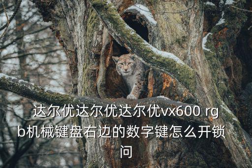 达尔优达尔优达尔优vx600 rgb机械键盘右边的数字键怎么开锁  问