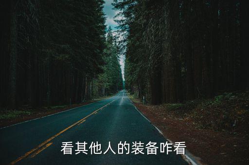 看其他人的装备咋看