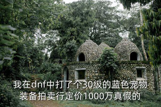 我在dnf中打了个30级的蓝色宠物装备拍卖行定价1000万真假的