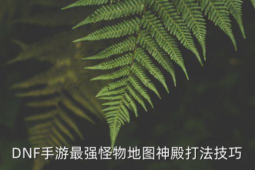 神殿怕什么属性的dnf，dnf暗黑神殿打不过怎么办