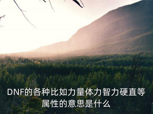 DNF的各种比如力量体力智力硬直等属性的意思是什么