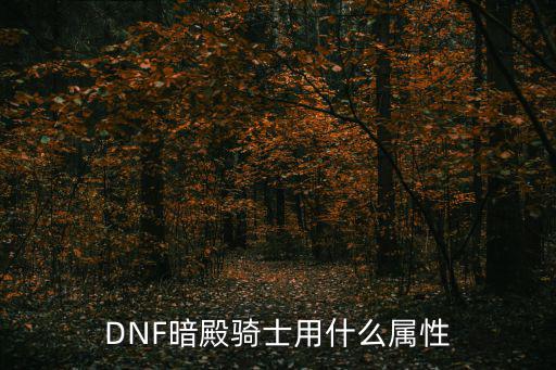 DNF暗殿骑士用什么属性