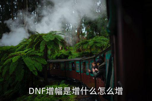 DNF增幅是增什么怎么增