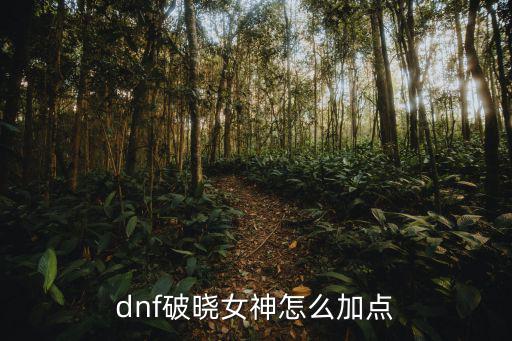 dnf破晓女神怎么加点