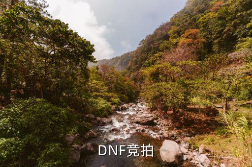 DNF竞拍