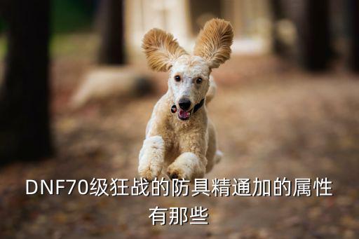 DNF70级狂战的防具精通加的属性有那些