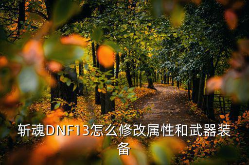 斩魂DNF13怎么修改属性和武器装备