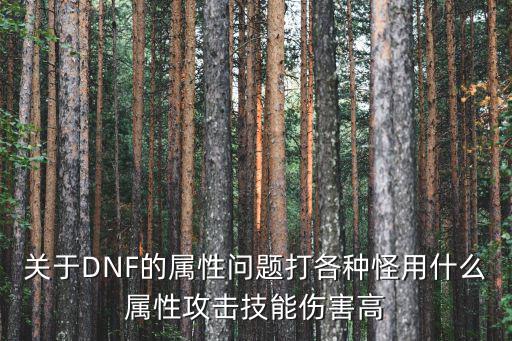 关于DNF的属性问题打各种怪用什么属性攻击技能伤害高