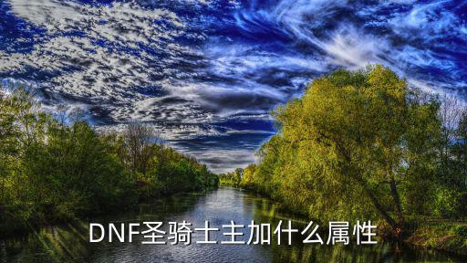 dnf圣骑士走什么属性，圣骑士要加什么属性啊