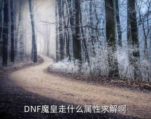 DNF魔皇走什么属性求解啊