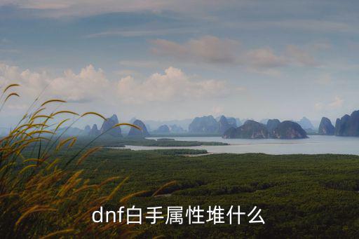 dnf白手属性堆什么