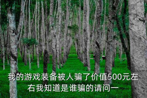 我的游戏装备被人骗了价值500元左右我知道是谁骗的请问一