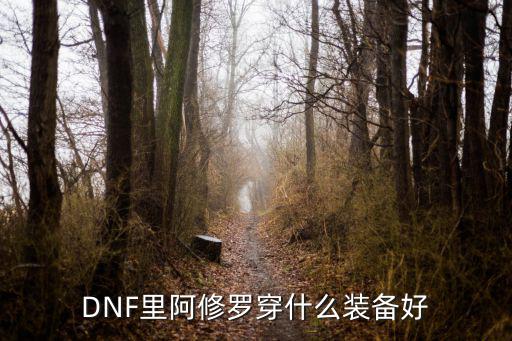 DNF里阿修罗穿什么装备好