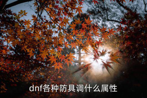 dnf恍惚套该打什么属性，dnf各种防具调什么属性