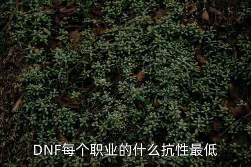 dnf职业缺什么属性抗性，dnf什么属性抗性好