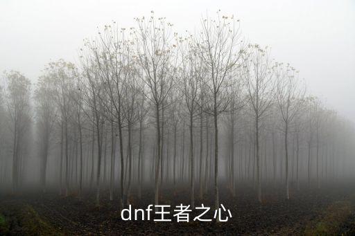 dnf王者之心