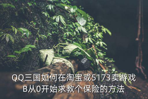 卖游戏装备保险怎么卖的，QQ三国如何在淘宝或5173卖游戏B从0开始求教个保险的方法