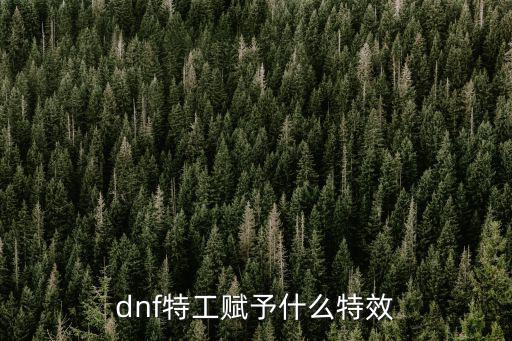 dnf特工赋予什么特效